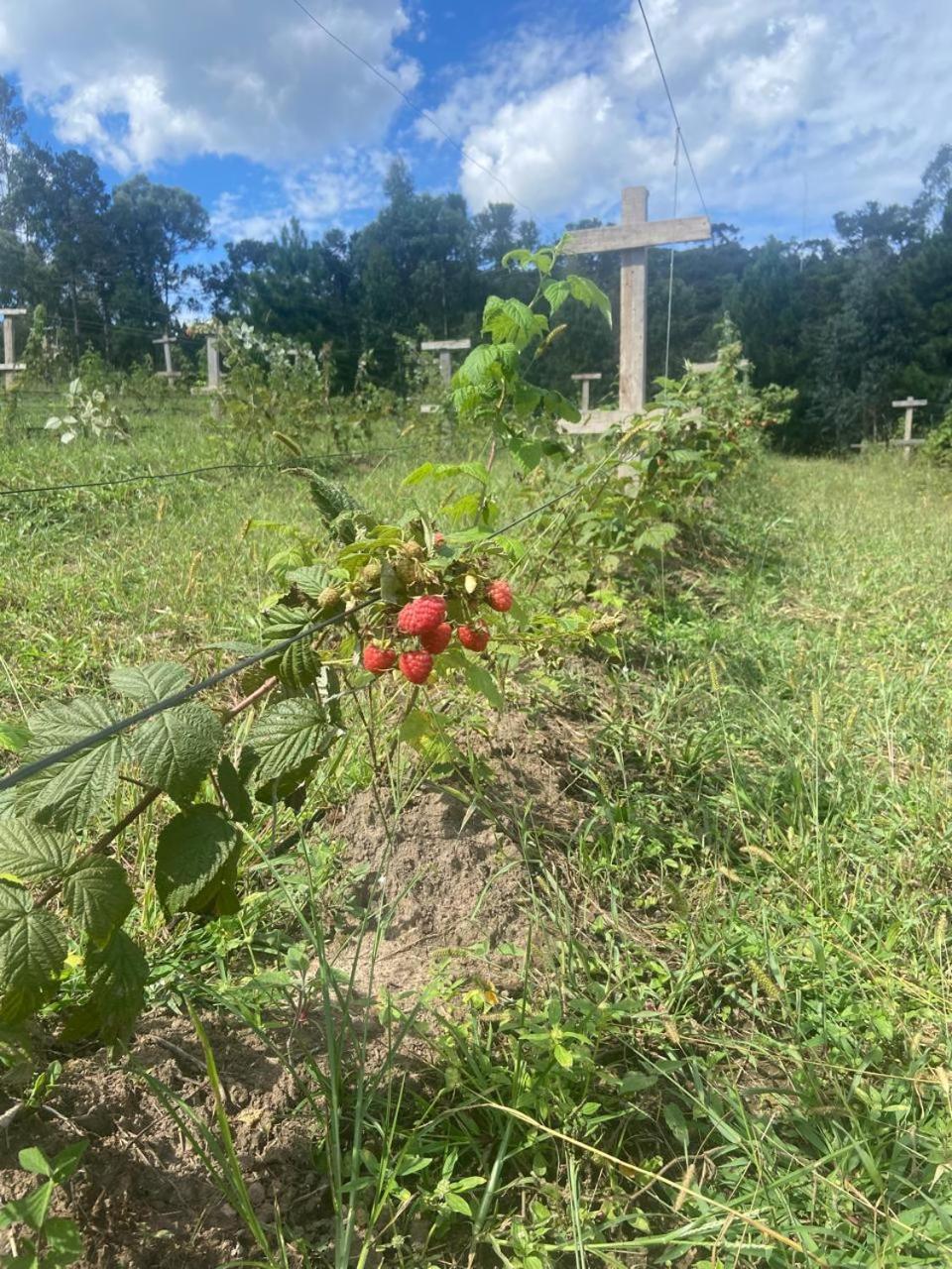 Cabana Recanto Do Physalis Rio Rufino المظهر الخارجي الصورة